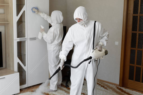 Best Professional Mold Removal  in Lmar, DE